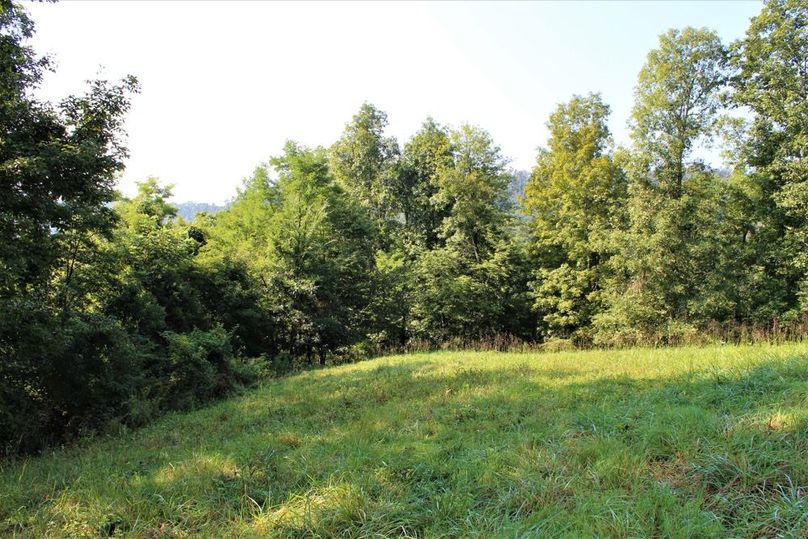 016 open field area near the ridge on the north part of the property