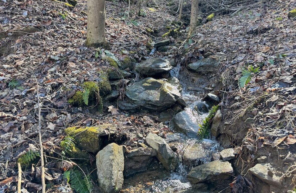 Clay 124.76 Fleaback-04