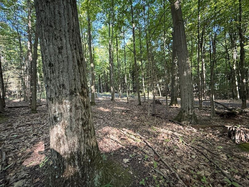 Seneca_65_Engels Photo 41e