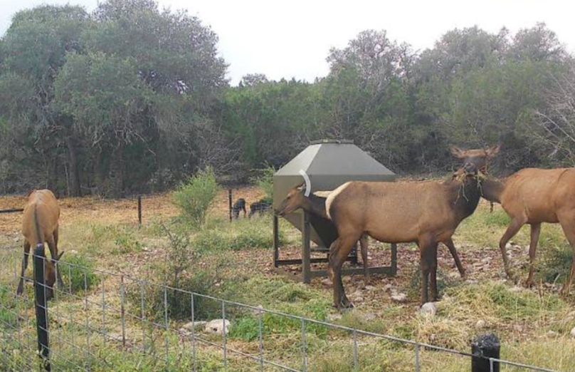 Screenshot_Ed60126_203724_Photos