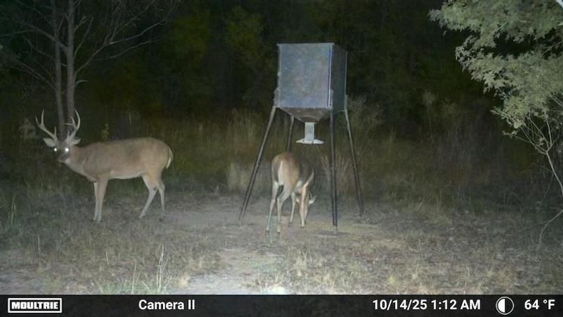 Temp_2348882-20251014061326-100MFCAM_MFDC1034