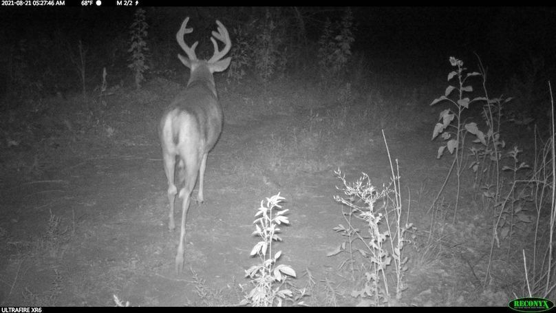 Copy of Copy of RCNX0089