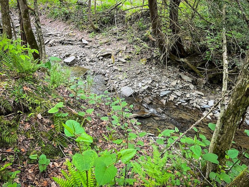 Tioga_78_Biada_Photos_95