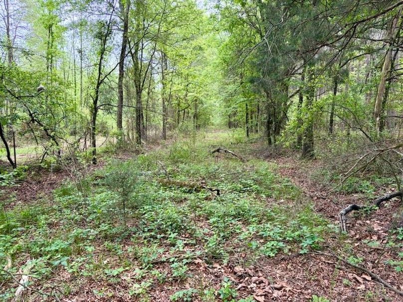 D7835170-A5D9-4DC4-9997-AC55406586E2_1_105_c