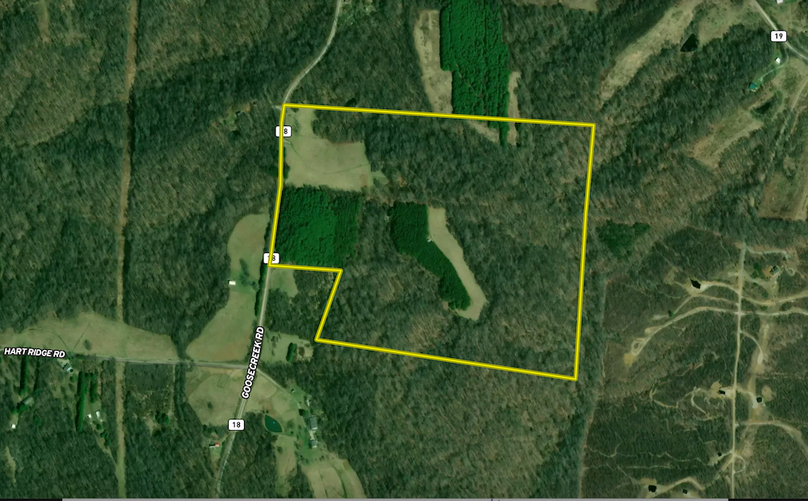 Screenshot 2026-04-24 at 9.19.37 AM