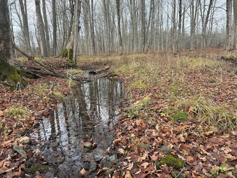 Tompkins_15.15_Galarza Photo 17