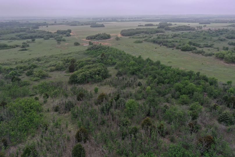 DJI_0410