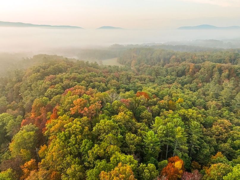 Copy of DJI_0836 (1)