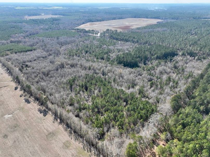 dji_fly_20260213_144214_335_1771012089588_photo