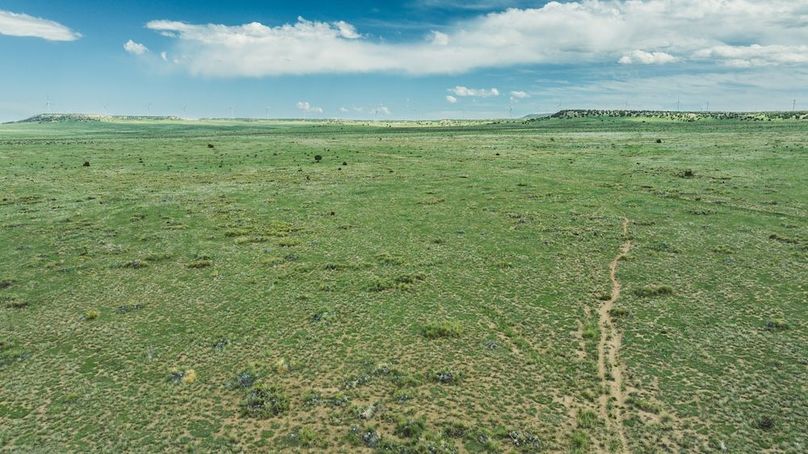 DJI_20240520161704_0161_D