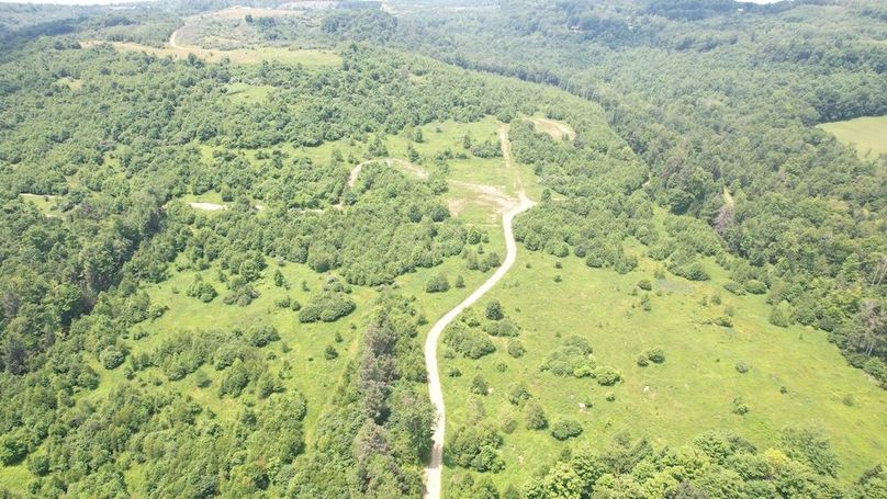 dji_fly_20240621_132700_370_1718991011718_photo