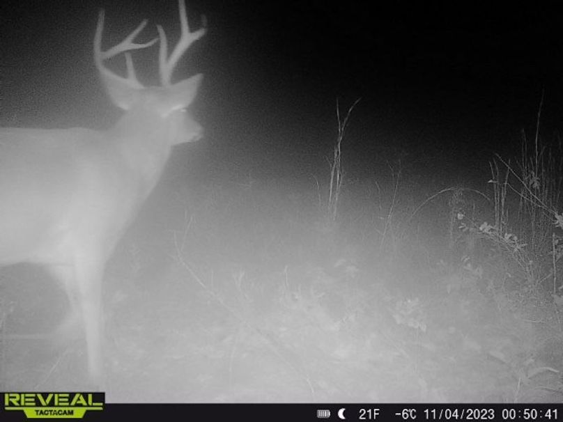 861412047893289-80-4-11042023005040-W1000796