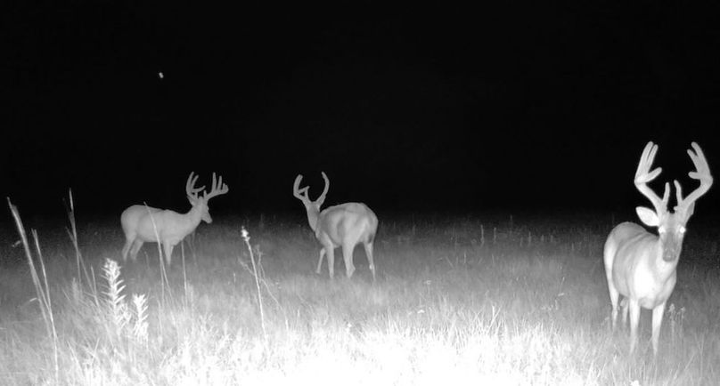 Copy of 016578004545254-100-2-07302025041513-SYFW00165