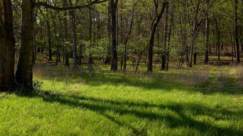 WILLIAMSON, IL 65.00_00_45_16.Still006