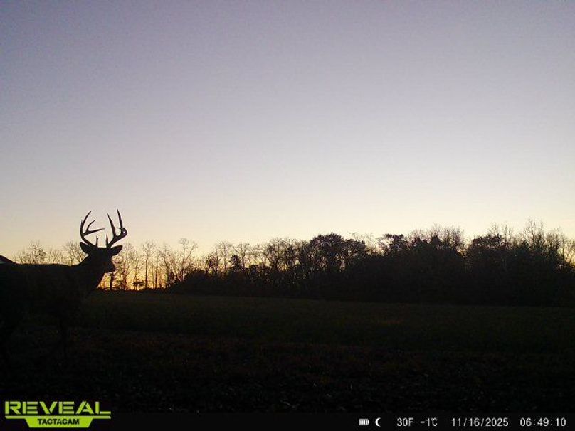 865814048285835-100-4-11162025064910-W1001687