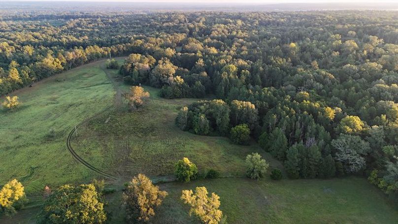 Hinds Co - 78 - Newman-29