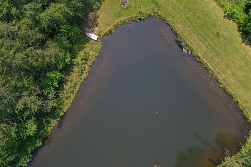 009 look closely along the shore of the dam and you can see the bluegill beds-2