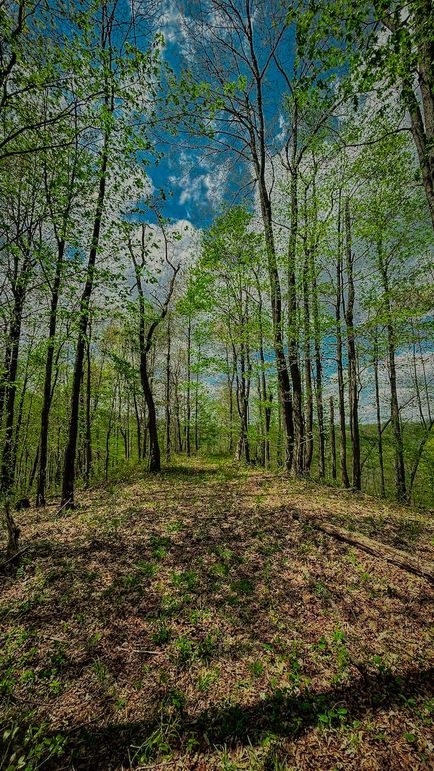 Doddridge, WV 64.69 AC Davis-10