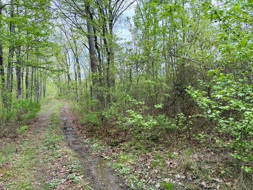 A4FAC6A8-1545-423B-AE9F-2B00565473A8_1_105_c-2