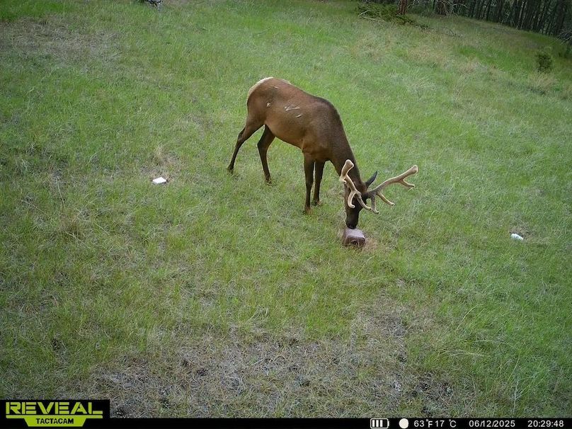 865509052769050-50-3-06132025073347-HD-SYEW1252