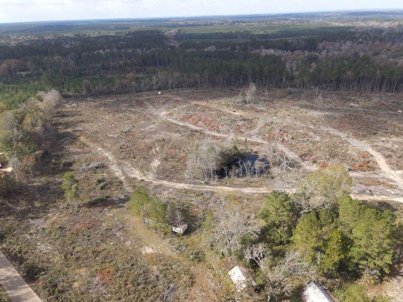 dji_fly_20251120_120744_857_1763662095501_photo