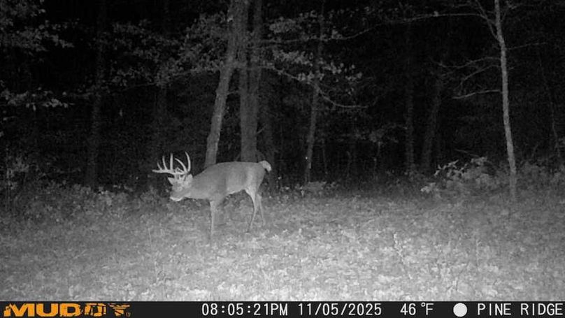 25110520052001000869_ColorizationType.none