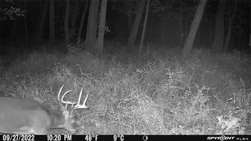 128BBBD5-1962-4E5A-9B6E-73A33C932962