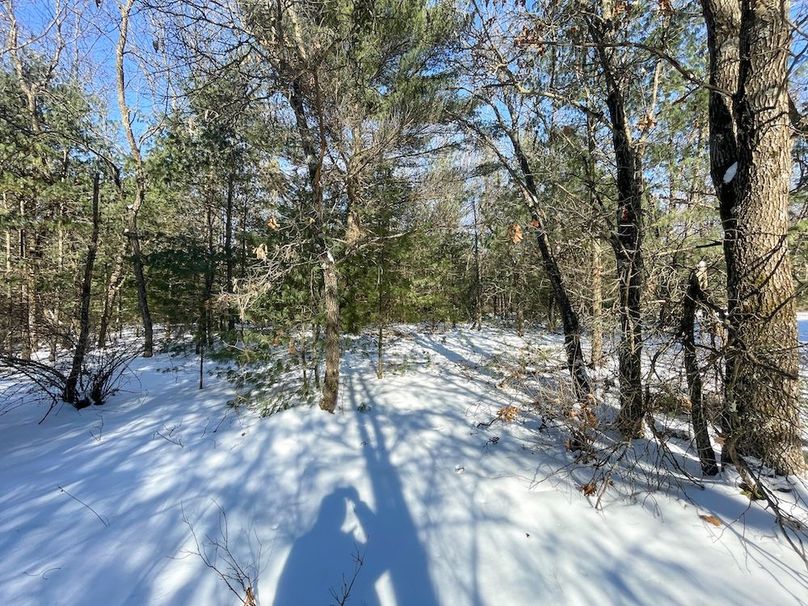 Adams 25, Nessler -50