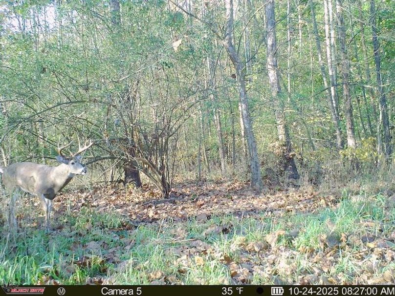 E6C4441A-548E-4EB3-9F4A-4263CB3BAE17