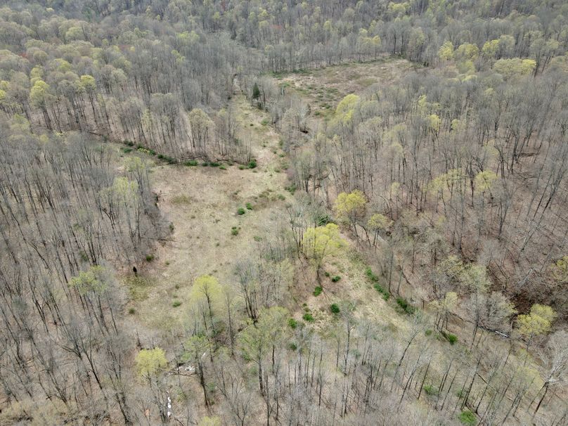 dji_fly_20230407_131156_365_1680887530243_photo