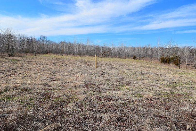 DSC_0313_inPixio (2)