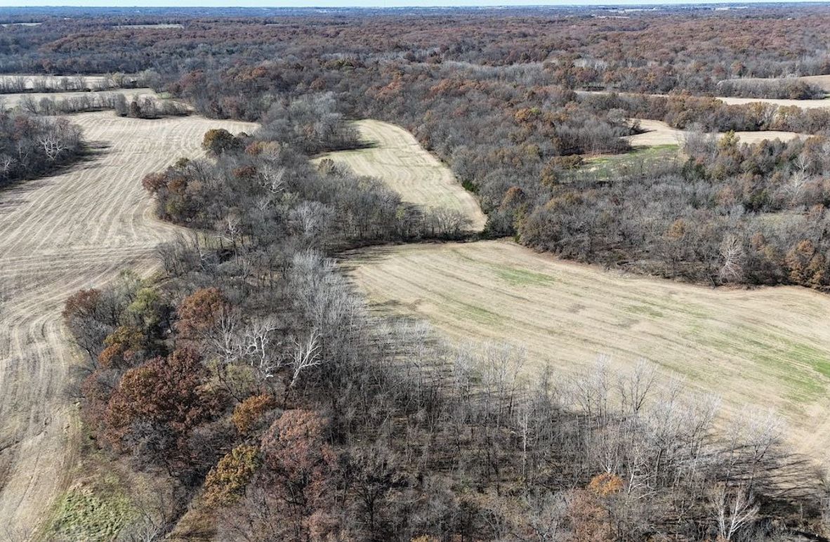 dji_fly_20241101_133912_0025_1730488618378_photo