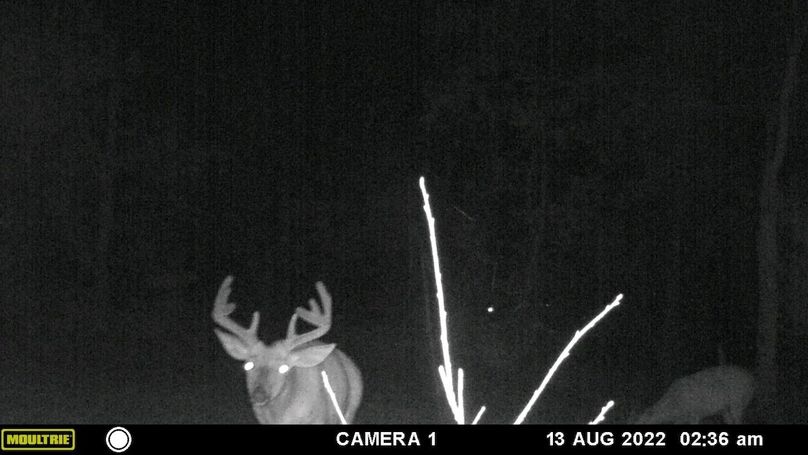 output_image1694006761979