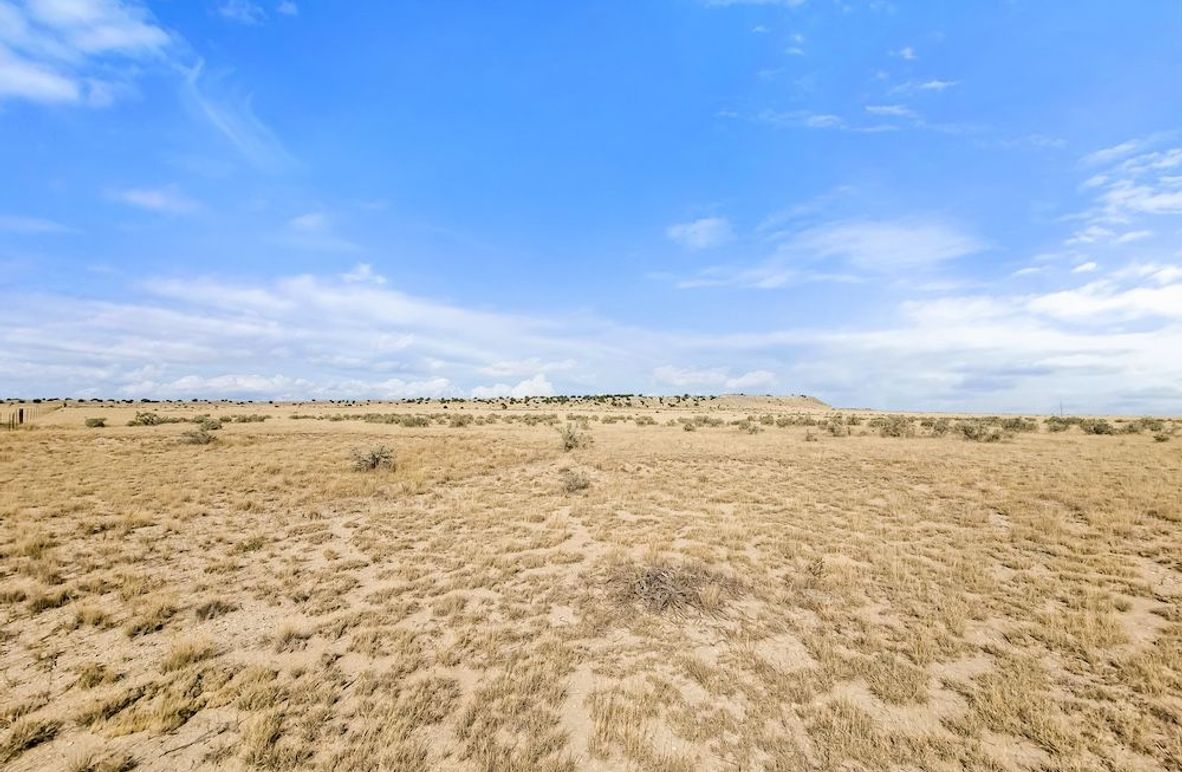 Copy of 20251015_105826