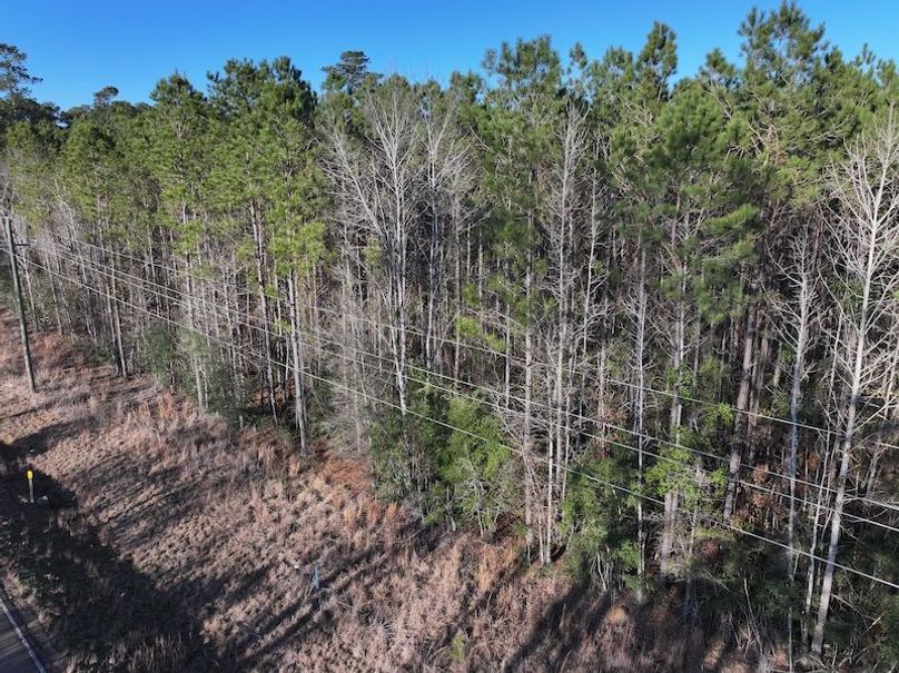 dji_fly_20260216_152318_0088_1771284232483_photo