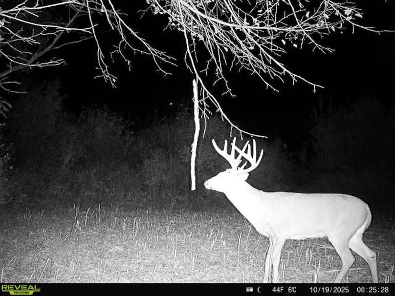 864049056902317-80-4-10192025002528-W1000868 - Copy