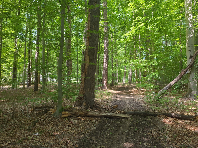 26.48ac_McKenneyLn_QAnnes_35