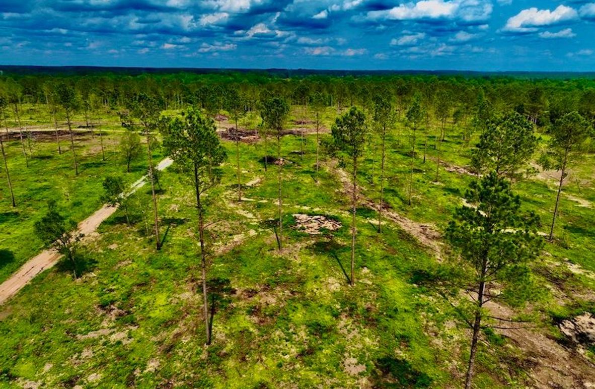 52FB3D83-690E-4200-94C9-58D6BE9C453D_1_105_c