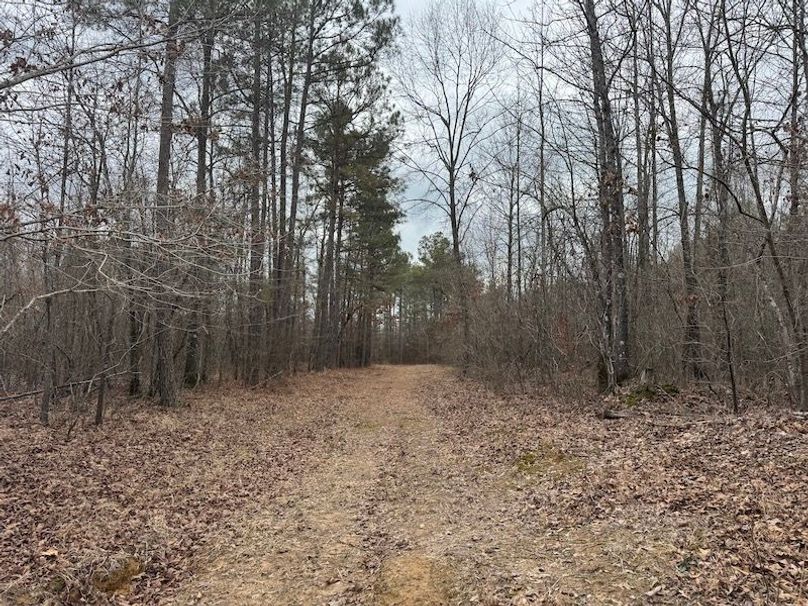 311 new20260217_0478