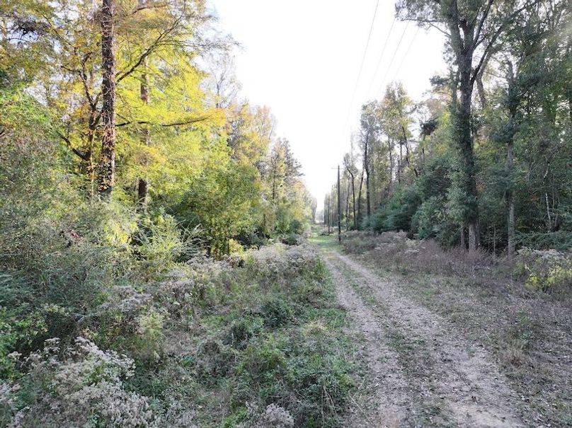 dji_fly_20251118_152024_0750_1763560711470_photo