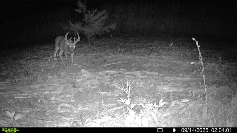 016578004299738-22-3-09142025081251-HD-SYFW02643