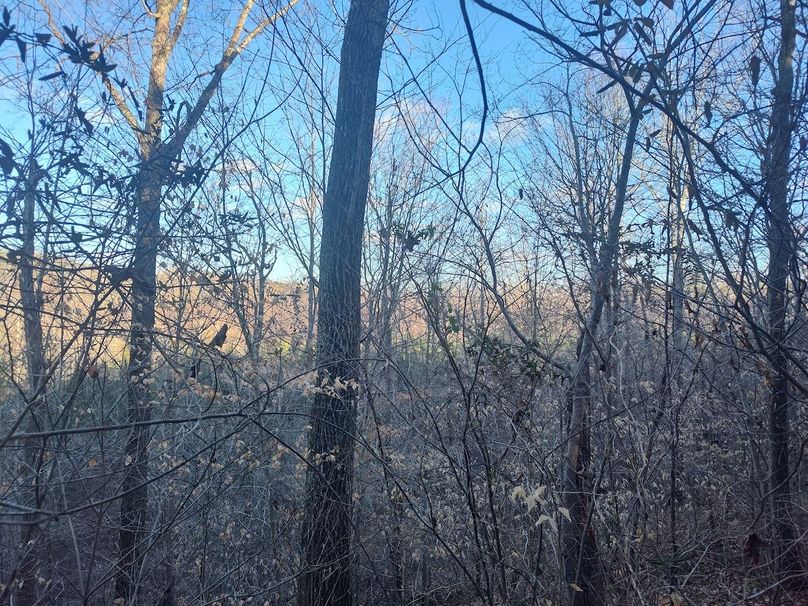 IMG_20240302_165714354_HDR