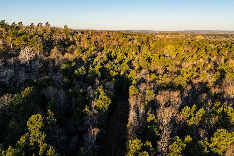 DJI_20260116075726_0030_D