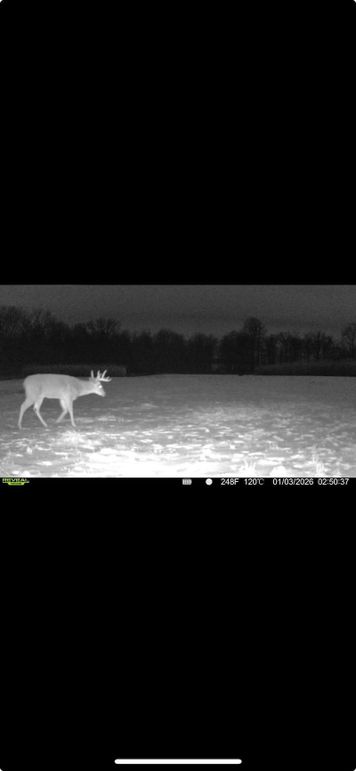 Screenshot 2026-01-06 at 4.29.21 PM