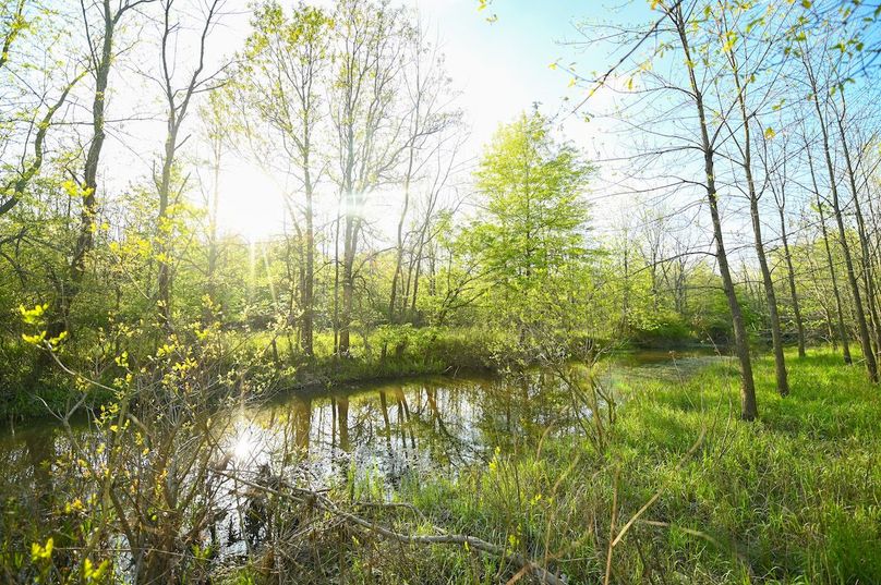 vandalia 450 (2)-3003