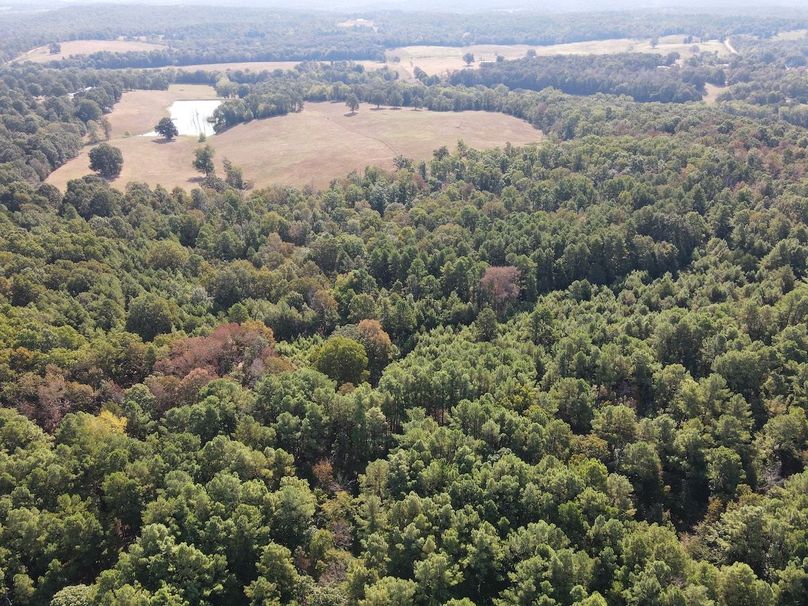 dji_fly_20250902_095544_731_1756825028285_photo