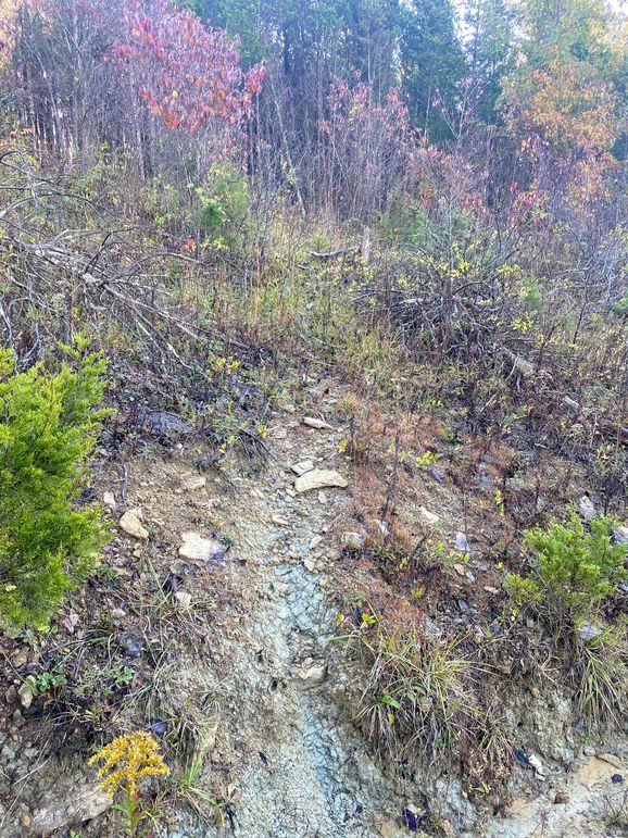 Lewis Johnson 78 006