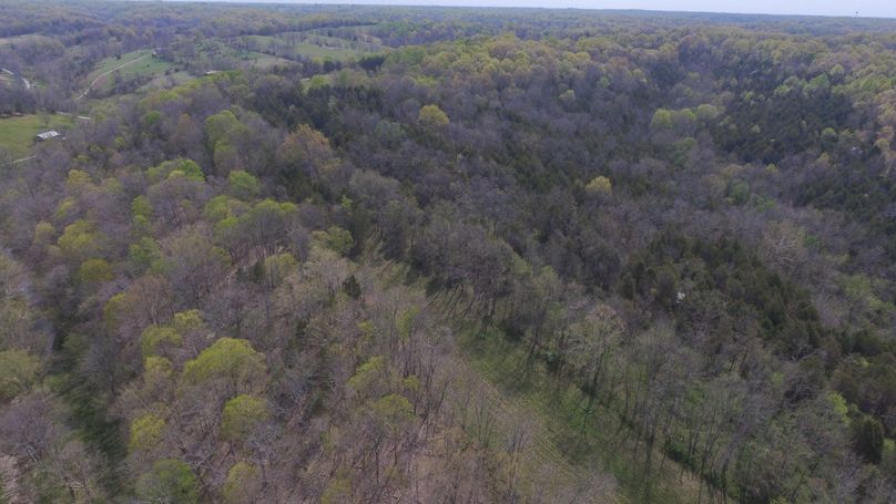 DJI_0355
