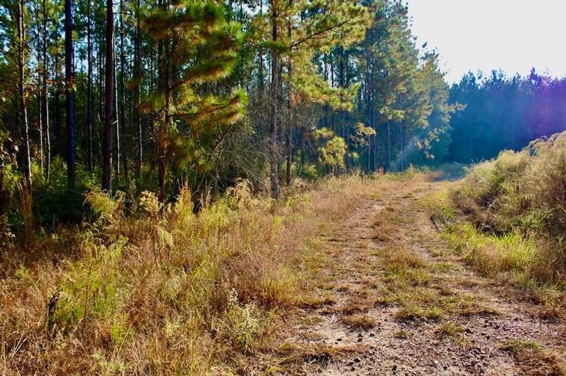 5FF0DD4C-7195-4A07-BDBF-3D6B961199B0_1_105_c