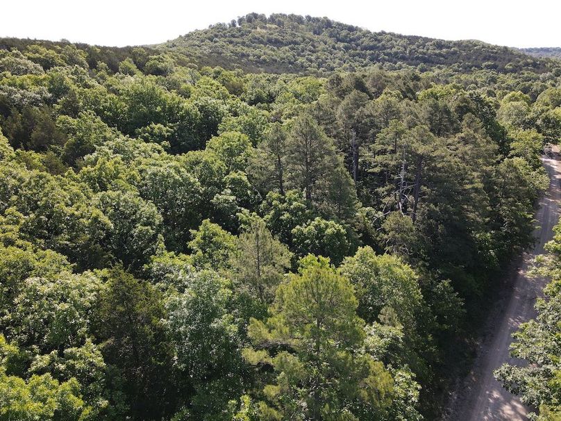 dji_fly_20260514_092316_752_1778768616046_photo